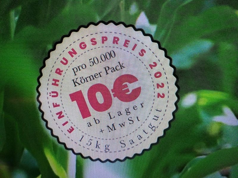 Kemper Kemper Champion 3000 Anbauhäcksler mit Halmteiler beidseitig Frontanbau Ideal für Systemfahrzeuge Claas Xerion