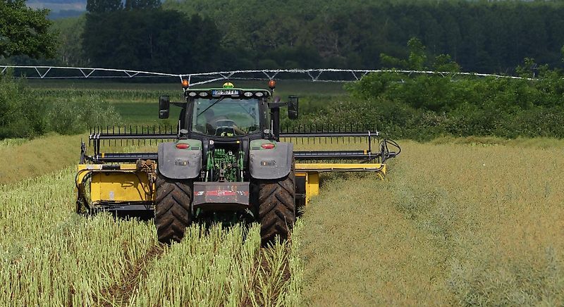 Honey Bee ST 18 - BANDSCHWADMÄHWERK