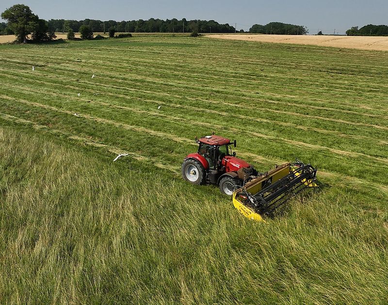 Honey Bee ST 18 - BANDSCHWADMÄHWERK