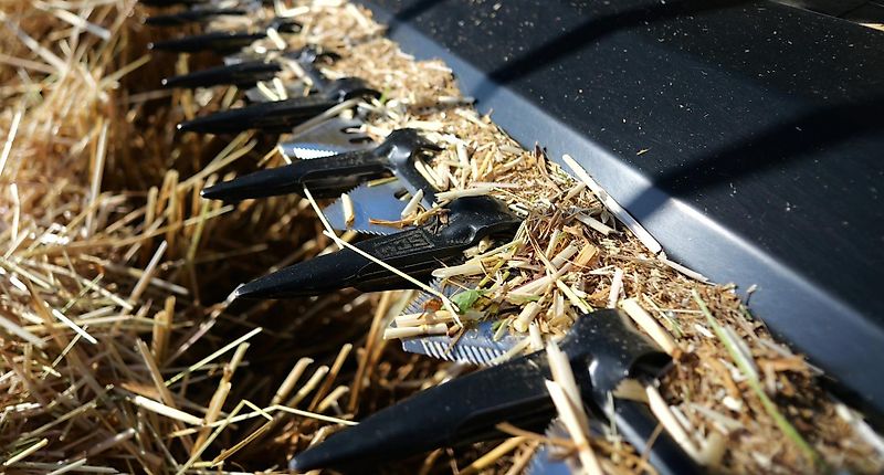 Honey Bee ST 18 - BANDSCHWADMÄHWERK