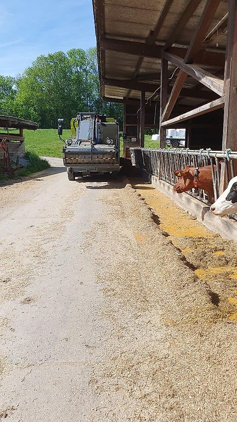 Storti Pointer 160 EVO 2 AS