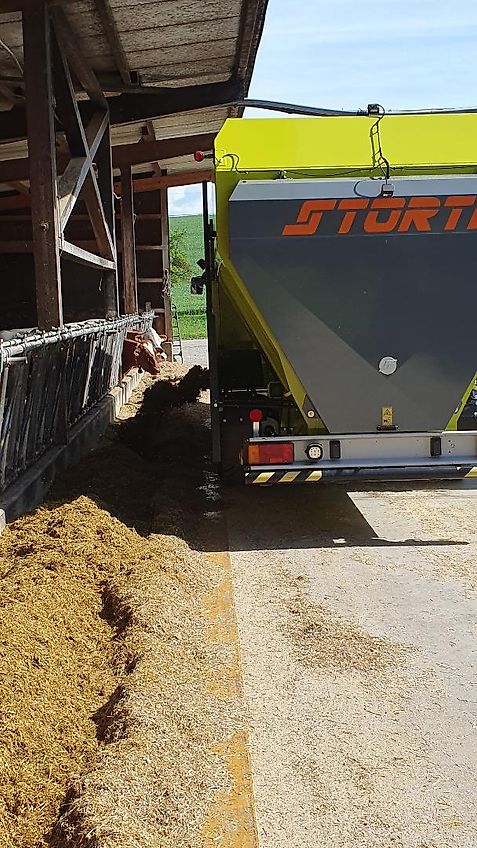 Storti Pointer 160 EVO 2 AS