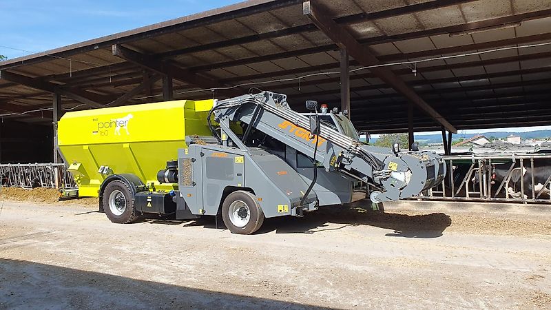 Storti Pointer 160 EVO 2 AS